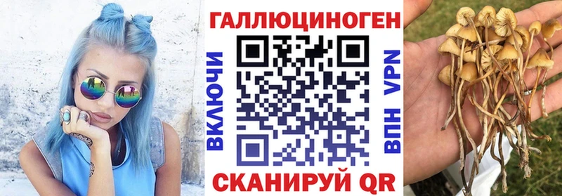 Купить закладки  Клинцы  Псилоцибиновые грибы Psilocybine cubensis 
